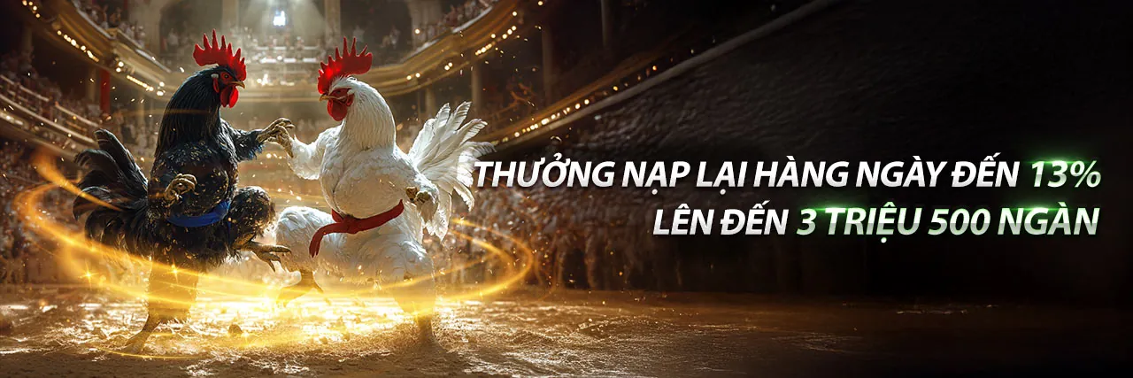 Đá Gà Trực Tuyến 168 Bet: Sân Chơi Uy Tín